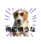 アーサー君の可笑しな毎日（個別スタンプ：23）