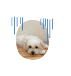 Neela4（個別スタンプ：5）