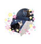 微笑ましいファミリー（個別スタンプ：1）