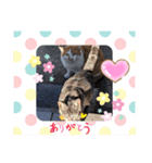 微笑ましいファミリー（個別スタンプ：4）