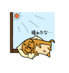 まる太いぬ（個別スタンプ：21）