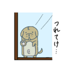 まる太いぬ（個別スタンプ：24）