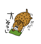 でぶねこ でぶーにゃん（冬）（個別スタンプ：24）