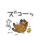 でぶねこ でぶーにゃん（冬）（個別スタンプ：34）
