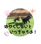 なかよしワンコM＆S②（個別スタンプ：23）