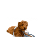 茶々くんスタンプ1（個別スタンプ：4）