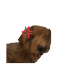 茶々くんスタンプ1（個別スタンプ：10）