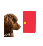 茶々くんスタンプ1（個別スタンプ：11）