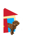 茶々くんスタンプ1（個別スタンプ：14）