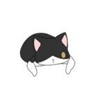 ヨンヨンスタジオの日常（個別スタンプ：14）