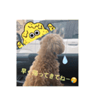 ピッコロトイプー日常（個別スタンプ：2）