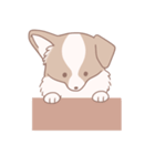 ボーダーコリーのレディちゃん（個別スタンプ：26）