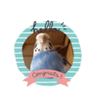 piiさん（個別スタンプ：2）