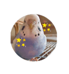 piiさん（個別スタンプ：8）