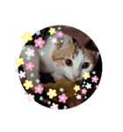 きゅん！（個別スタンプ：1）