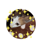 きゅん！（個別スタンプ：2）