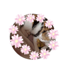 きゅん！（個別スタンプ：3）