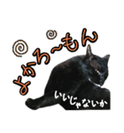 黒猫のクロス(熊本弁ver.改)（個別スタンプ：4）