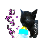 黒猫のクロス(熊本弁ver.改)（個別スタンプ：14）