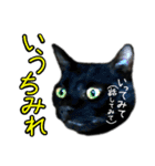 黒猫のクロス(熊本弁ver.改)（個別スタンプ：18）