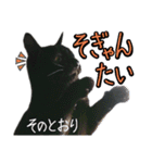 黒猫のクロス(熊本弁ver.改)（個別スタンプ：23）
