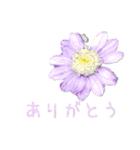 お花たちの一言スタンプ（個別スタンプ：2）
