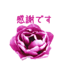 お花たちの一言スタンプ（個別スタンプ：3）