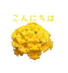 お花たちの一言スタンプ（個別スタンプ：4）
