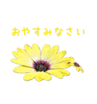 お花たちの一言スタンプ（個別スタンプ：8）