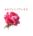 お花たちの一言スタンプ（個別スタンプ：17）