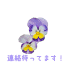 お花たちの一言スタンプ（個別スタンプ：20）