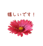 お花たちの一言スタンプ（個別スタンプ：21）