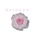 お花たちの一言スタンプ（個別スタンプ：27）