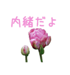 お花たちの一言スタンプ（個別スタンプ：35）
