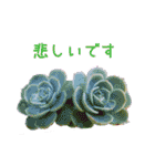 お花たちの一言スタンプ（個別スタンプ：37）