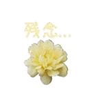 お花たちの一言スタンプ（個別スタンプ：39）