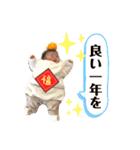 わこたんスタンプ！！（生誕100日ver）（個別スタンプ：6）