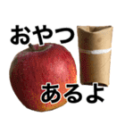 トイレットペーパーの芯くん 第二弾（個別スタンプ：9）