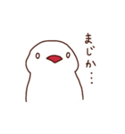 白文鳥のゆきね（個別スタンプ：2）