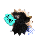 仲良し3人家族 ⑤（個別スタンプ：7）