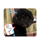 仲良し3人家族 ⑤（個別スタンプ：8）