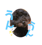 仲良し3人家族 ⑤（個別スタンプ：11）