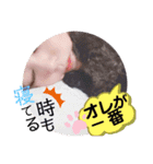 仲良し3人家族 ⑤（個別スタンプ：17）