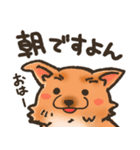 雑種犬きゃめたろー（個別スタンプ：1）