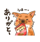 雑種犬きゃめたろー（個別スタンプ：2）