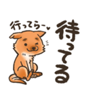 雑種犬きゃめたろー（個別スタンプ：4）