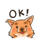 雑種犬きゃめたろー（個別スタンプ：5）