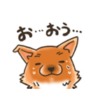 雑種犬きゃめたろー（個別スタンプ：6）