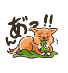 雑種犬きゃめたろー（個別スタンプ：7）