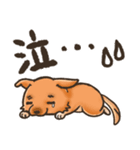 雑種犬きゃめたろー（個別スタンプ：8）